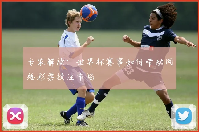专家解读:世界杯赛事如何带动网络彩票投注市场