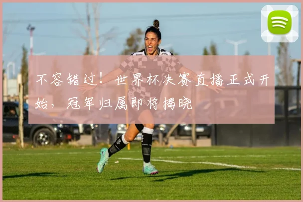 不容错过!世界杯决赛直播正式开始,冠军归属即将揭晓