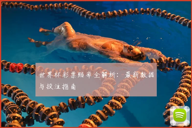 世界杯彩票赔率全解析:最新数据与投注指南