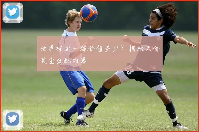 世界杯进一球价值多少?揭秘天价奖金分配内幕